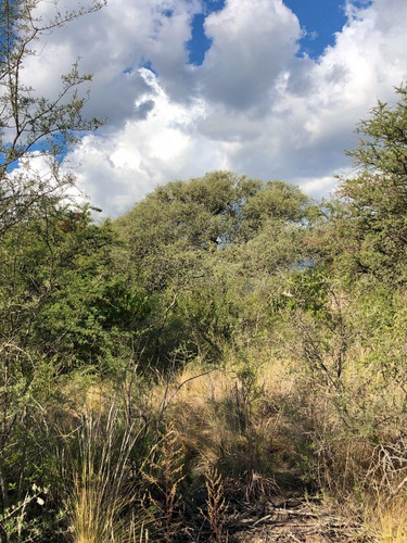 Imagen 5 de 14 de Lote 1840 M2 - Posesion / Quebrada De Los Pozos, Villa De Las Rosas - Traslasierra