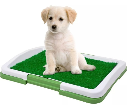 Tapete Entrenamiento Baño Para Perros Puppy Potty Pad 