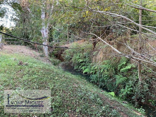 Imagem 11 de 15 de Sítio Em Maravilha - Paty Do Alferes - 3041