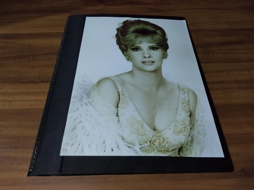 Gina Lollobrigida * Carpeta Recortes Revistas Clippings (Usado)