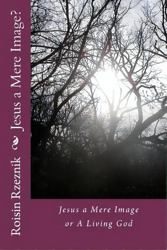 Jesus A Mere Image?: Jesus A Mere Image Or A Living God, De Rzeznik, Roisin. Editorial Createspace, Tapa Blanda En Inglés