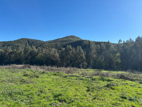 Venta De Terrenos  Sector Los Rulos