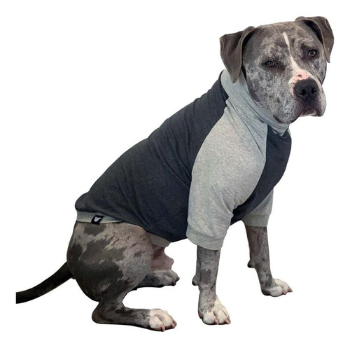 Tooth & Honey Big Dog/jersey/camisa Para Perro Grande/camisa