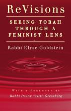 Libro Revisions : Seeing Torah Through A Feminist Lens - ...