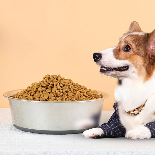2 Cuenco De Acero Inoxidable Para Perros Con Base De 14cm