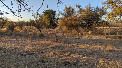 Imagen 5 de 9 de T054 Sl Amplio Terreno En Venta De 1050m2 En San Lorenzo