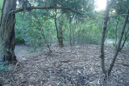 Imagen 5 de 6 de Muy Lindo Entorno- Lote Arbolado- Lote En Altura Con Desnivel En El Fondo- 15 X 30- 450mts-