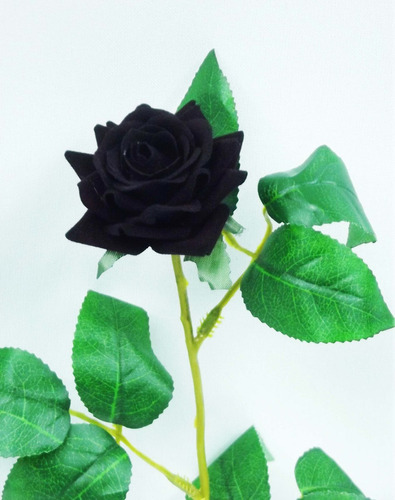 10 Rosas Artificial Preta Negra Escura Flores Artificiais | Parcelamento  sem juros