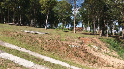 Imagem 17 de 30 de Chácara Com 2 Dorms, Sapateiro, Embu-guaçu - R$ 320 Mil, Cod: 2294 - V2294