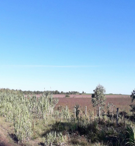 Venta Chacra San Jose Brisas Del Plata Santa Regina Ruta 1