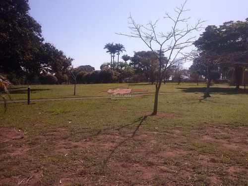 Imagem 1 de 15 de Negócio - Comercial, Para Venda Em Boituva/sp - 44spa