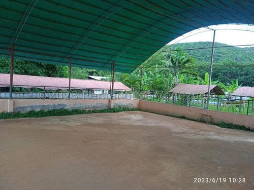 Raiza Suarez Vende Granja Turística En La Ensenada, A Solo Minutos De Barquisimeto Y Yaritagua, Licencia De Licores, Piscina, Cancha De Bolas, Salón De Fiestas, Dos Restaurantes, Caney 2 3 3 3 2 4 8