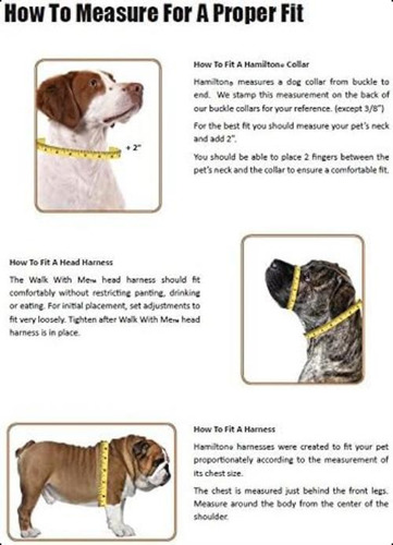 Arnés De Nailon Ajustable Y Cómodo Para Perros Hamilton