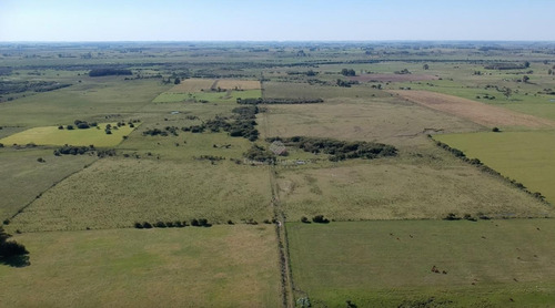 Imagen 3 de 5 de Campo De 16 Hectáreas A Minutos De Tala