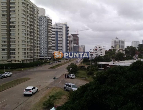 Imagen 5 de 21 de 2 Dormitorios Frente A La Brava, Reciclado