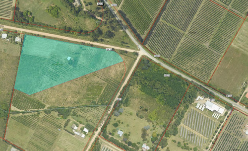 Imagen 2 de 7 de Venta Chacra Melilla, 3 Hectáreas, A 5 Km De Uam