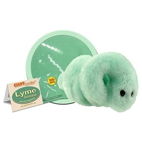 Peluche De Enfermedades Borrelia Burgdorferi Microbio