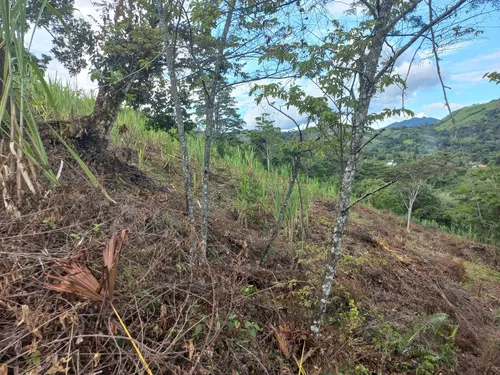 Venta De Lote En Villeta, Vereda Cune