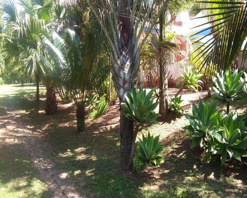 Imagem 30 de 30 de Casa - Ca01893 - 4444537