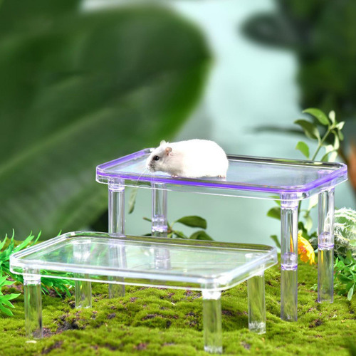 Para Animales Pequeños, Para Hámster, Para Violeta