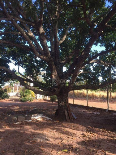 Imagem 2 de 18 de Chácara Com 4 Dormitórios À Venda, 1000 M² Por R$ 650.000 - Chácara Recreio Nossa Senhora Do Líbano (zona Rural) - São José Do Rio Preto/sp - Ch0078