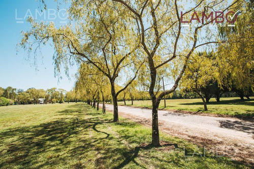 Venta Lote Pilar La Esperanza