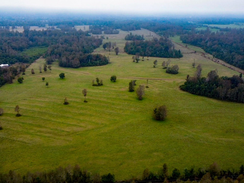 Imagen 7 de 13 de Campo Subdividido De 49,2ha - Villarrica