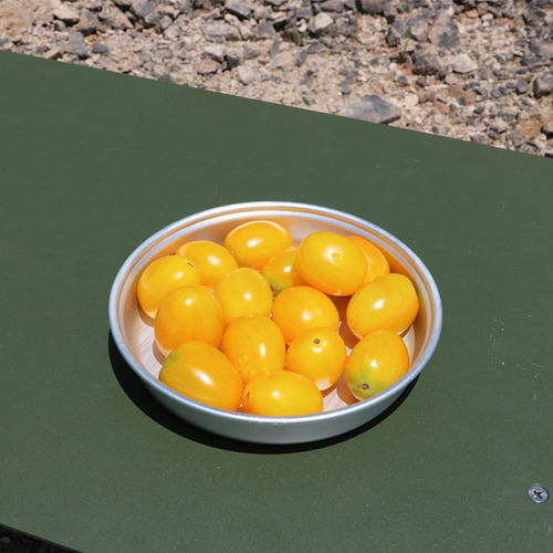 2 Piezas Placas Para Acampar Al Aire Libre Venina
