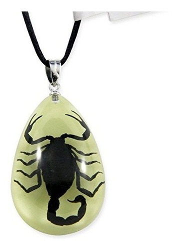 Realbug Escorpión Negro Brillan En La Oscuridad Collar, Pequ