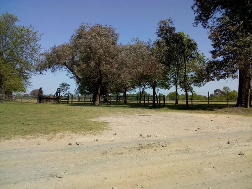 Terreno En Venta Pilar Manzanares