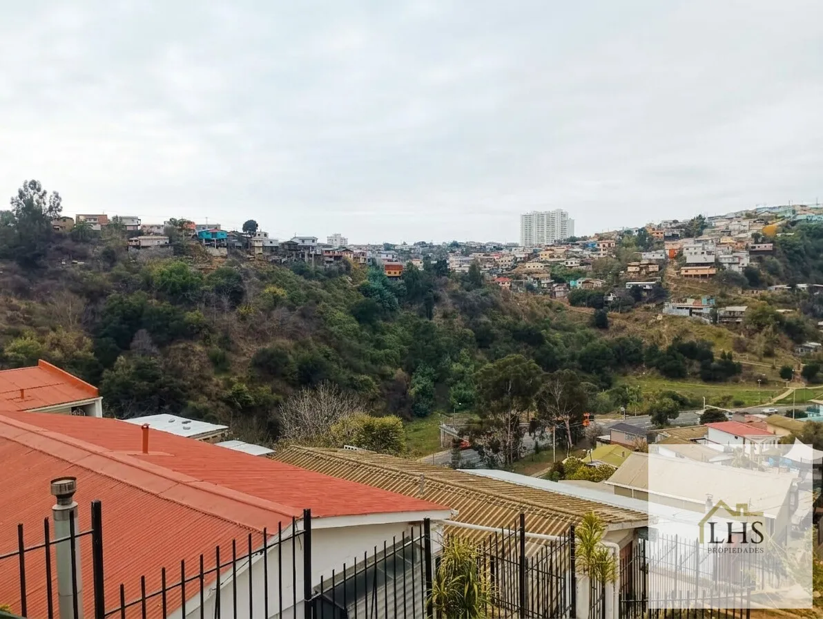 Imagen 3 de 22 de Casa Recién Renovada Con 3d/1b, Patio Y Bosca | Cerro Delici