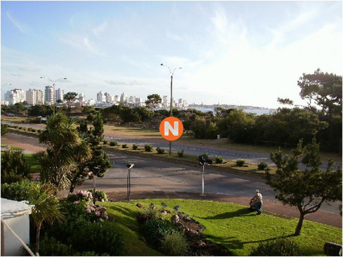 Apartamento En Venta Y Alquiler, Mansa, Punta Del Este, 2 Dormitorios.- Ref: 5653