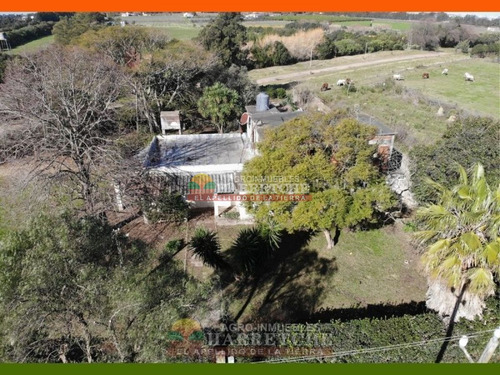 Imagen 8 de 29 de Chacra En Venta Melilla 3 Has