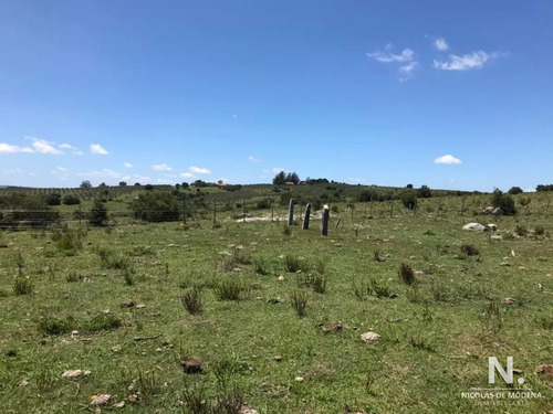 Imagen 8 de 28 de Se Vende Campo De 130 Has, En Maldonado