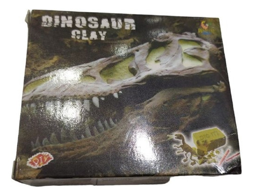 Dinosaurio Fosil En Caja