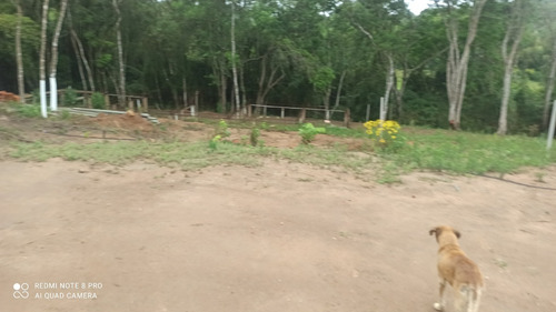 Imagem 10 de 14 de (k.a) 3km Da Rodovia - Lotes Fechados - 1.000m²