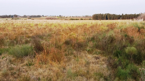 Campo 57 Hectareas Con Arroyo En Canelones