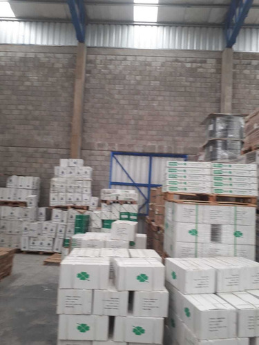 Imagen 7 de 13 de Galpón 1500 Mts Cubiertos 11 Metros De Altura