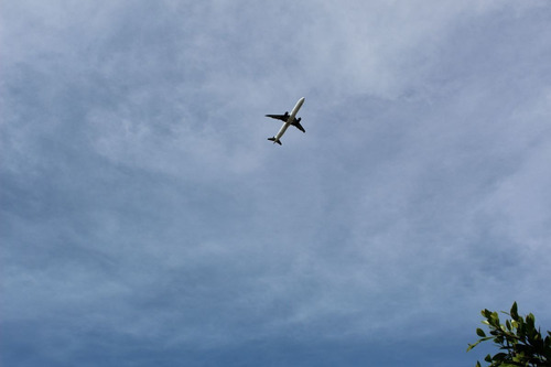 Imagen 3 de 15 de Terreno En Venta Aeropuerto Guadalajara Jalisco