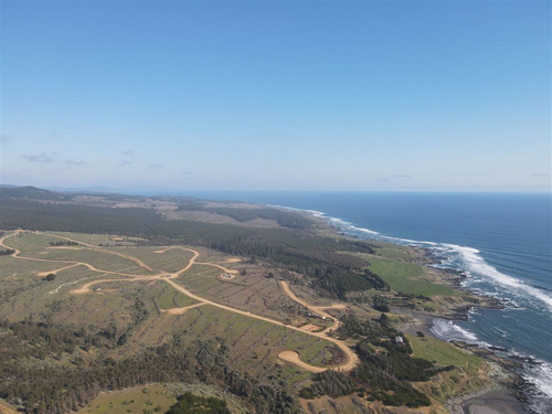 Sitio En Pichilemu