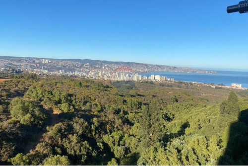 ¡vive En Tu Hogar Ideal En Viña Del Mar!