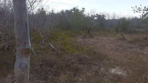 Terreno Lote En Holbox
