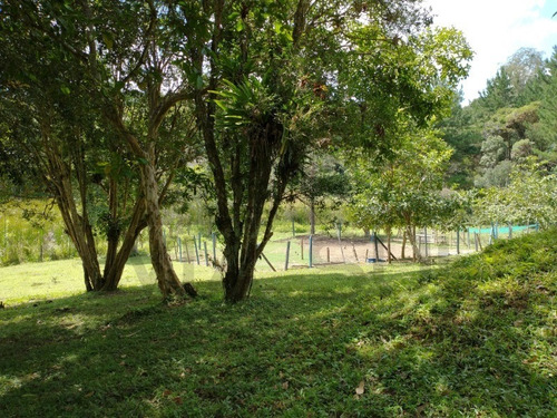 Imagem 16 de 30 de Sítio De 3,5 Alqueires, Excelente Localização! Com Área Aberta Para Criação Recreativa E Mata Nativa Para Trilha E Caminhada.. - 237 - 69821549