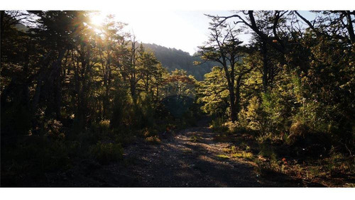 Pucon Parcela En Sector Cerduo - Oportunidad