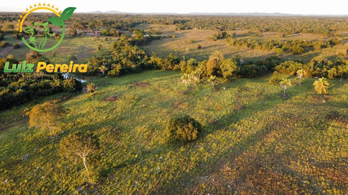 Imagem 9 de 15 de Fazenda À Venda Em São Valério - To - De 82 Alqueirões (dupla Aptidão) - 1788