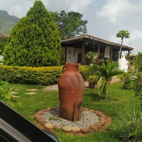 Venta De Finca En Lomas De Nirgua Yaracuy. - Inmobiliaria Maggi 1444