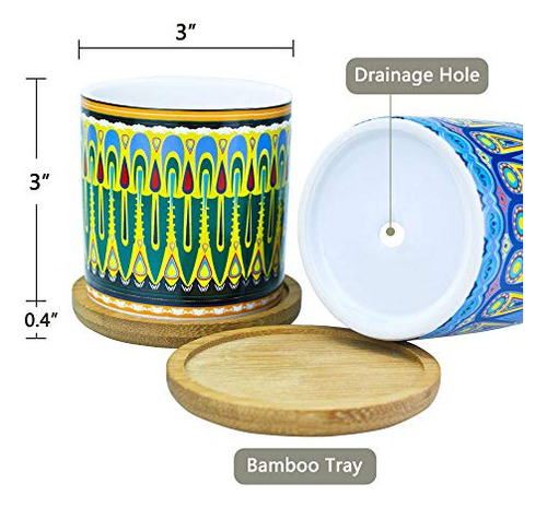 Maceta Mandala Para Suculentas, Orificio Drenaje, Posavasos,