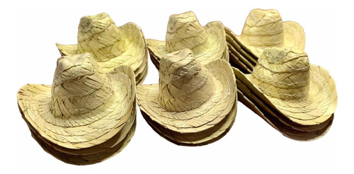 Paquete 10 Mini Sombrero Norteño De Palma