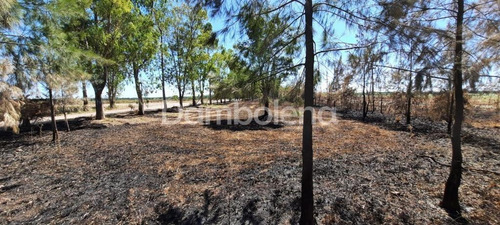 Imagen 7 de 25 de Terreno Fraccion En Venta O Permuta Ubicado En Cañuelas, Resto De La Provincia, Buenos Aires