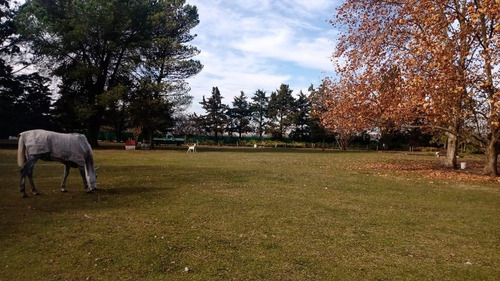 Imagen 4 de 21 de Casa - Parada Robles